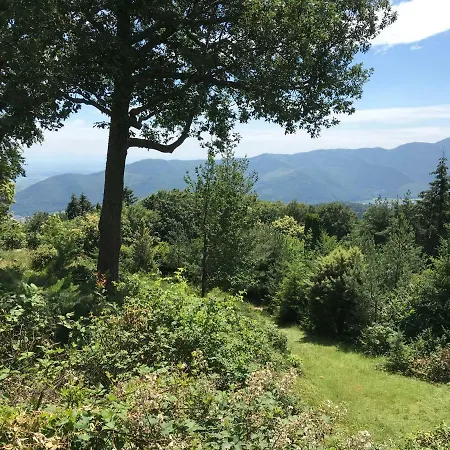 Le Belvedere - Marck Turckheim