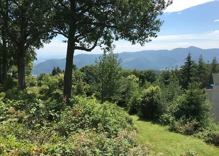 Le Belvedere - Marck Turckheim